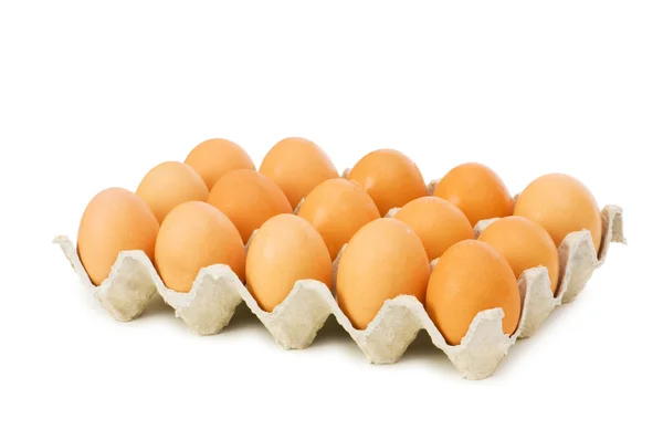 Много яиц в коробке изолированы — стоковое фото