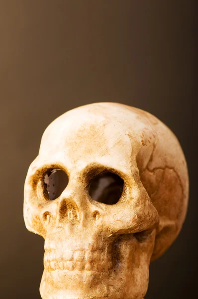 Menselijke schedel tegen donkere achtergrond — Stockfoto