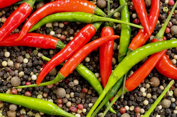 Red and green peppers on pepper Stock Image