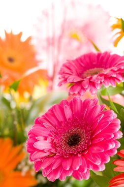 Red gerbera flower clipart