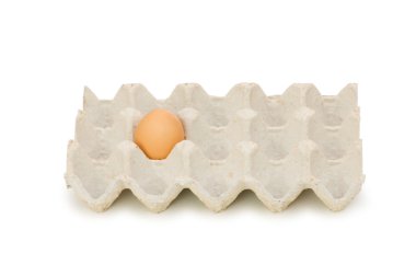 Single egg in carton isolated clipart