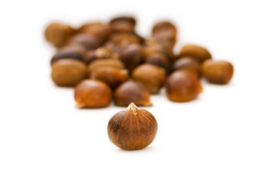 Many chestnuts isolated on the white clipart