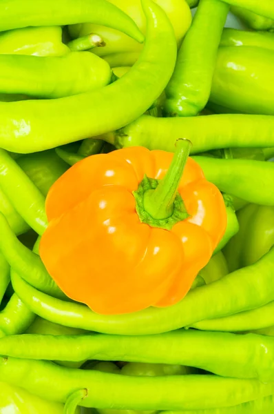 Oranje paprika en pepers — Stockfoto