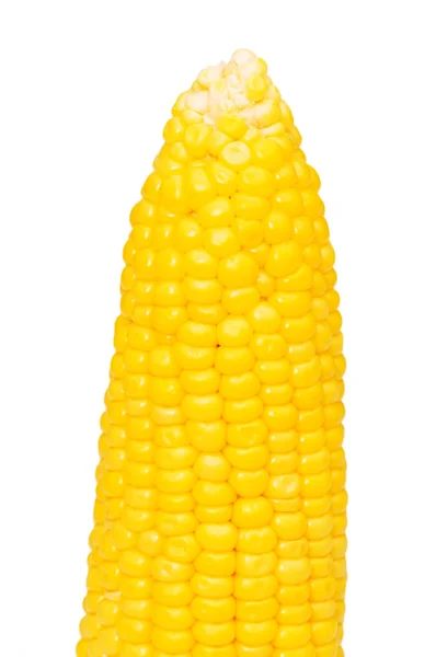 Mazorca de maíz aislado en el blanco —  Fotos de Stock