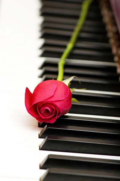 Conceito romântico - rosa vermelha no piano — Fotografia de Stock