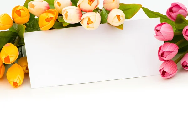 Tulpen en leeg bericht geïsoleerd — Stockfoto