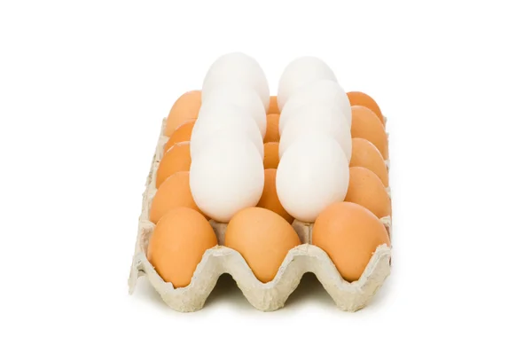 Veel eieren in de verpakking geïsoleerd — Stockfoto