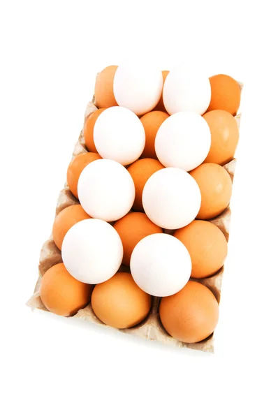 Viele Eier im Karton isoliert — Stockfoto