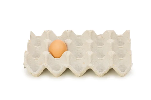 Одно яйцо в коробке изолированы — стоковое фото
