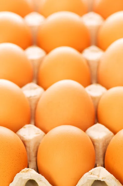 Många bruna ägg i korgen — Stockfoto