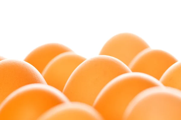 Коричневые яйца на белом — стоковое фото