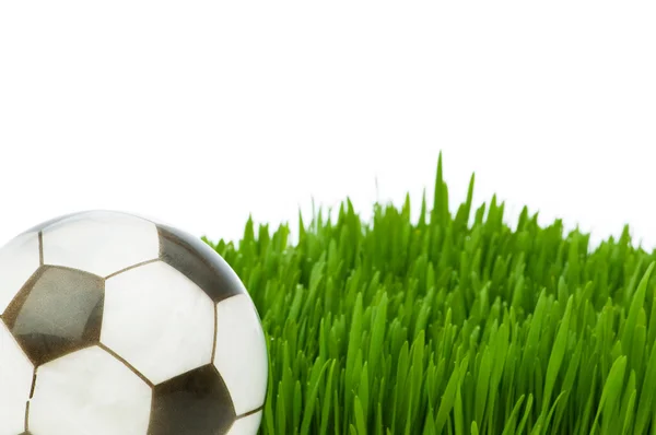 Sport koncept - fotbal v trávě — Stock fotografie