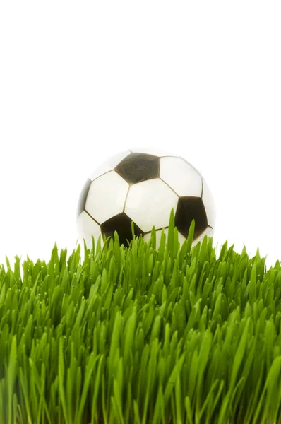 Sport koncept - fotbal v trávě — Stock fotografie