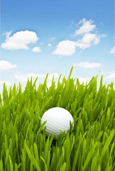 Golfbal op het groene gras — Stockfoto