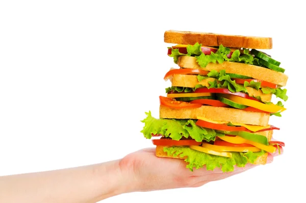 Hand hält Sandwich isoliert — Stockfoto
