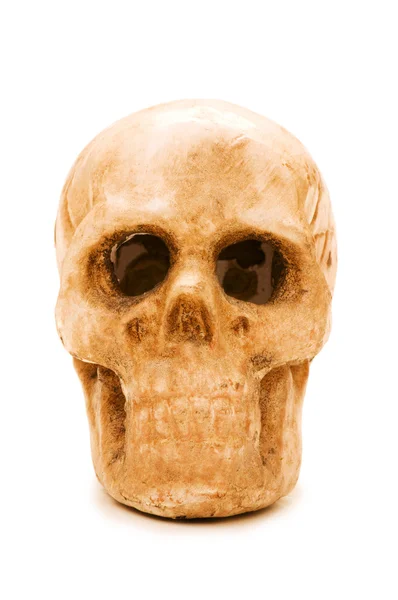 Human skull isolated on the white — Stock Photo, Image