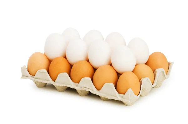 Beaucoup d'œufs dans le carton isolé — Photo