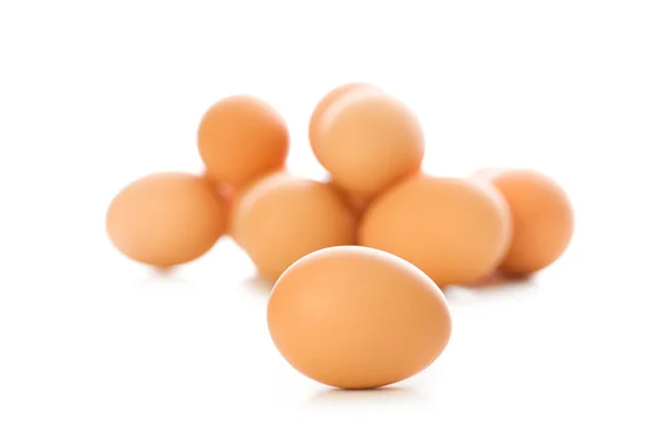 Brązowy jajko na biały — Zdjęcie stockowe