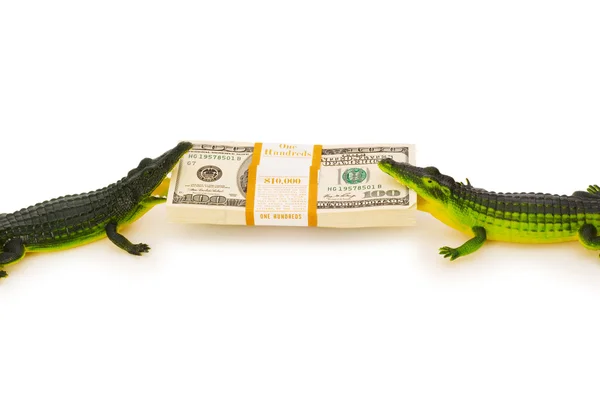 stock image Two crocodiles fighting over dollars