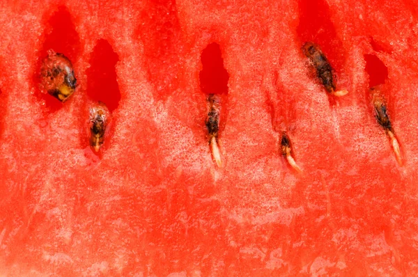 Extreme close up of the watermelon — Stock Photo, Image