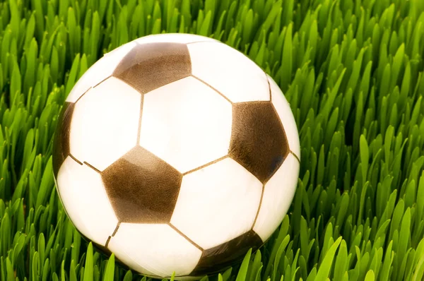 体育概念-足球在草地上 — 图库照片