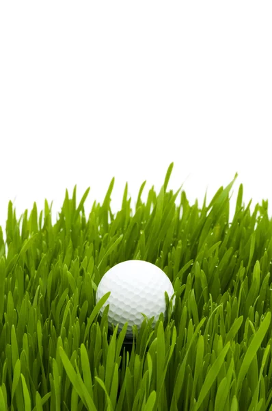 Golfboll på grönt gräs — Stockfoto