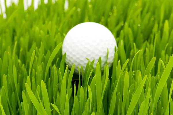 Pallina da golf sull'erba verde — Foto Stock