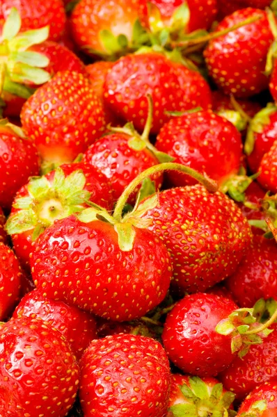 Viele Erdbeeren arrangiert — Stockfoto