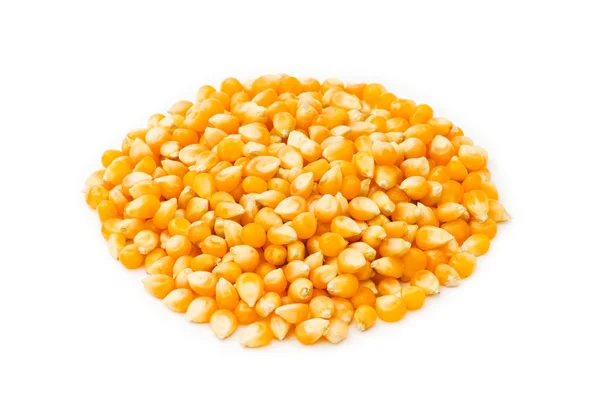 Sementes de milho isoladas no branco — Fotografia de Stock