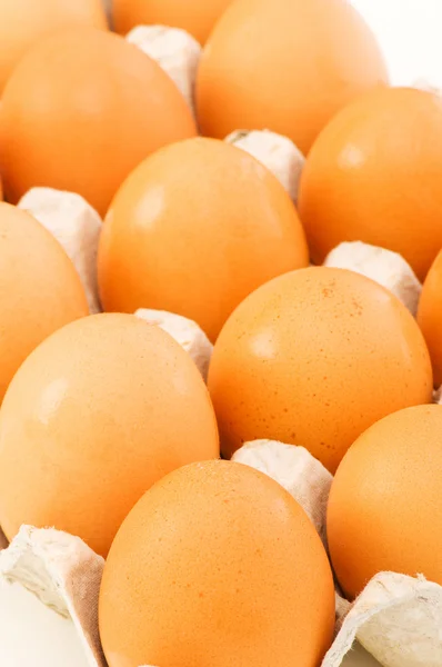 Viele Eier im Karton — Stockfoto