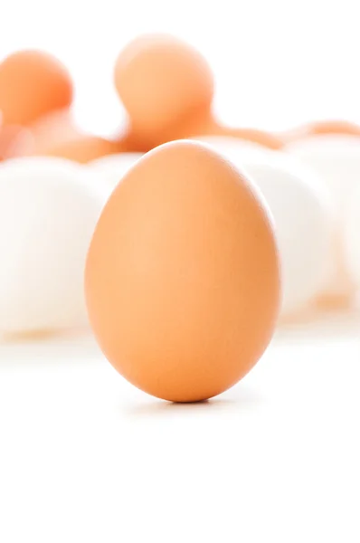 Hnědá vejce na bílém pozadí — Stock fotografie