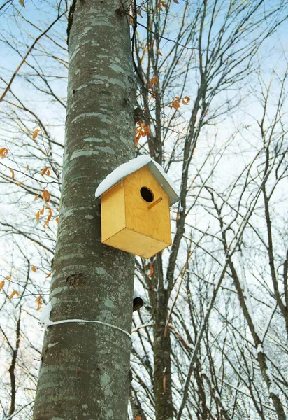 冬季在树上的鸟房子 — 图库照片