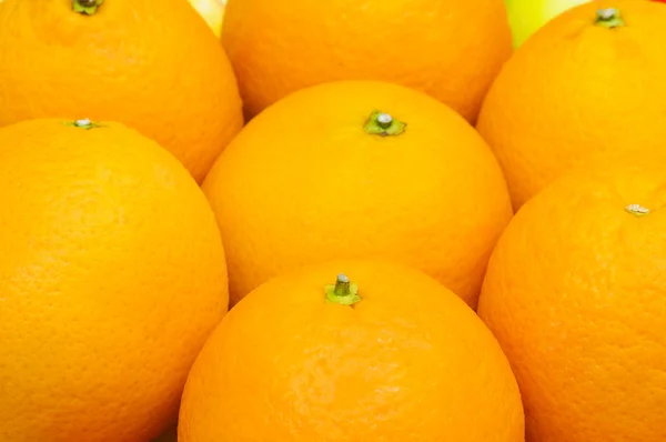 Närbild på många apelsiner — Stockfoto