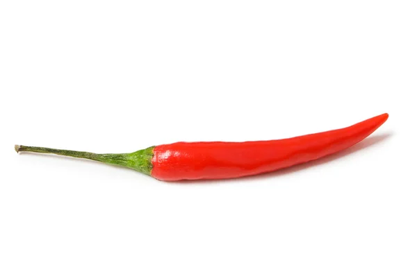 Papryka chili na białym tle — Zdjęcie stockowe
