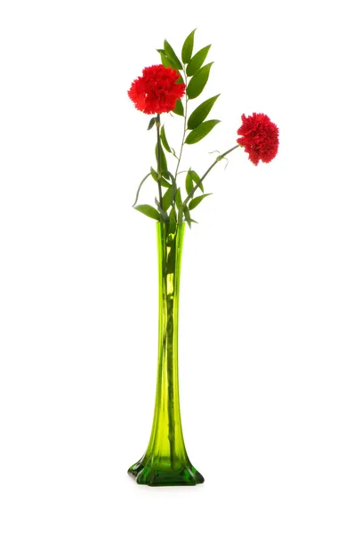 stock image Red carnations isolated on the white