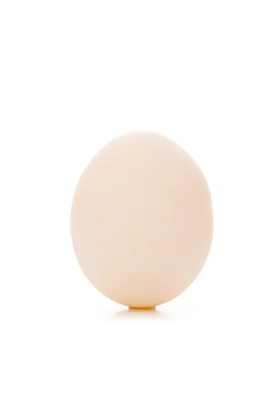 Одно яйцо, изолированное на белом — стоковое фото