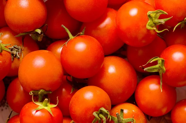 Mnoho červených rajčat uspořádány — Stock fotografie