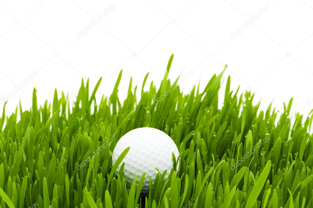 Golf ball on the green grass