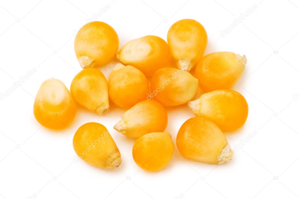 Corn seeds isolated on the white