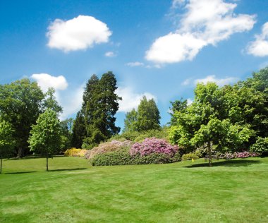 Trees and lawn on a bright day clipart