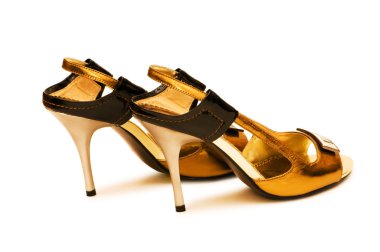 Woman shoes isolated clipart