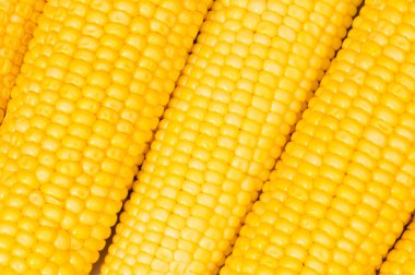 Extreme close up of corn cobs clipart