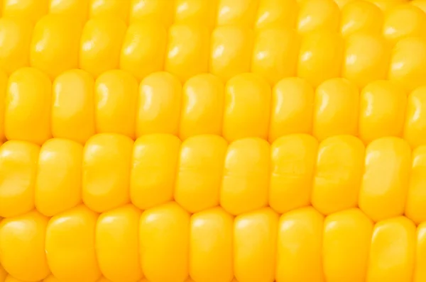Екстремальна крупним планом кукурудзяні камери — стокове фото