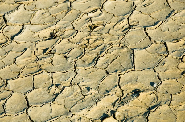Background of dried surface of lake — Stock Photo, Image