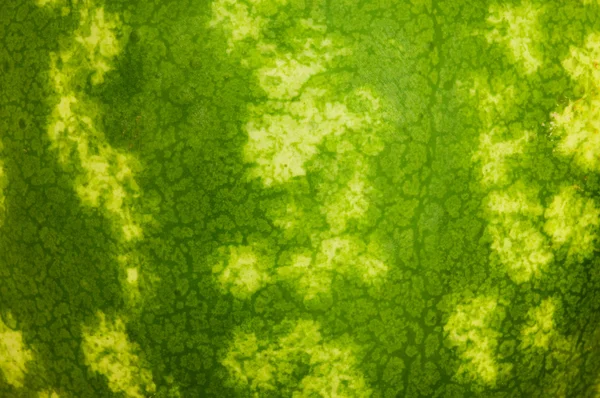 Zblízka - kůže meloun — Stock fotografie