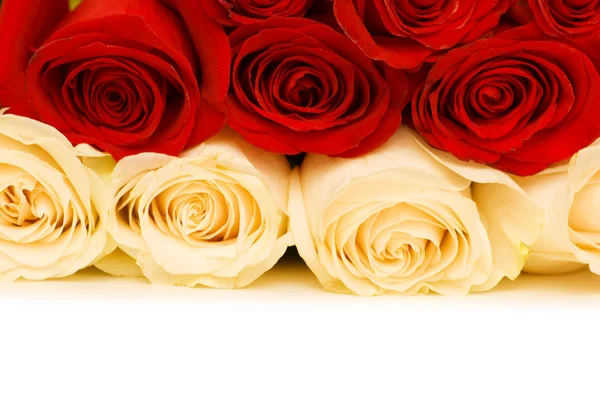 Червоні та білі троянди ізольовані — стокове фото