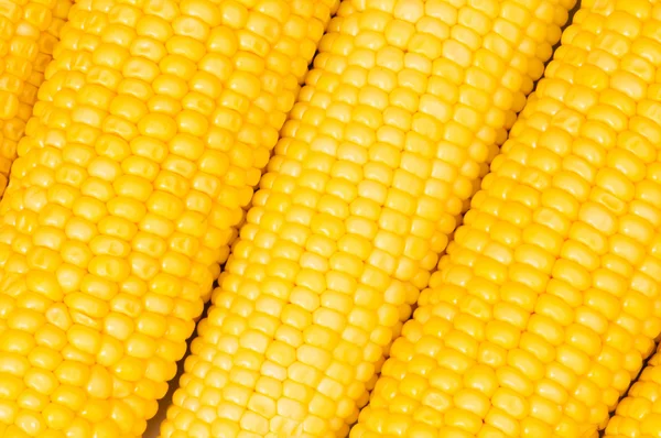 Extrém közelről a kukorica csövek — Stock Fotó