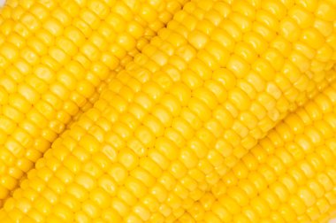 Extreme close up of yellow corn cobs clipart