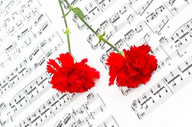 Red carnation flower on musical notes clipart