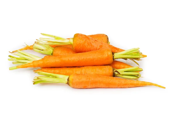 Свежая морковь, изолированная на белом — стоковое фото